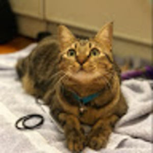 Meet your Posher, Grace